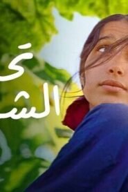 تحت الشجرة