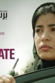 المرشحة المثالية